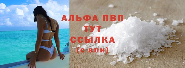 молекула духа Богданович