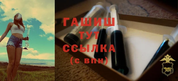 молекула духа Богданович