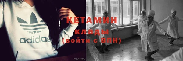 молекула духа Богданович