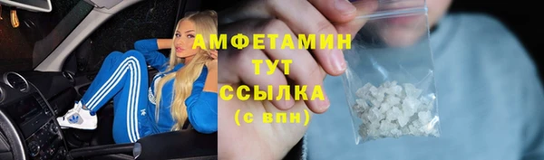 молекула духа Богданович