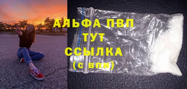 молекула духа Богданович