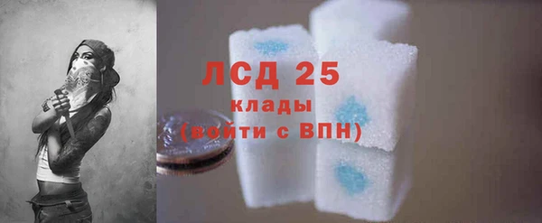 молекула духа Богданович