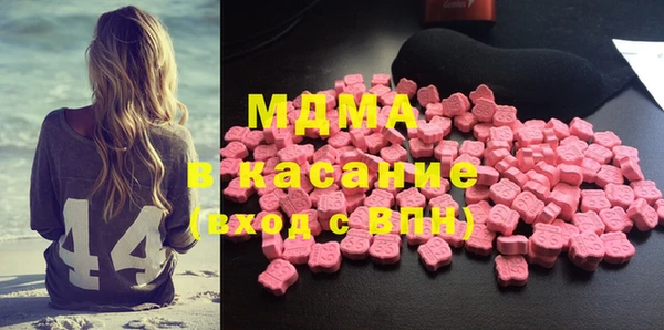 молекула духа Богданович