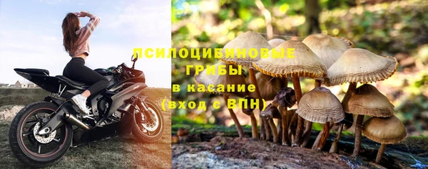меф Богородицк
