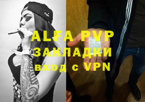 молекула духа Богданович