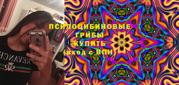 ПСИЛОЦИБИНОВЫЕ ГРИБЫ Богородск