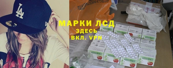молекула духа Богданович